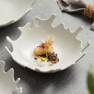 Eco-Friendly Ceramic Japanese Dishes Wholesale