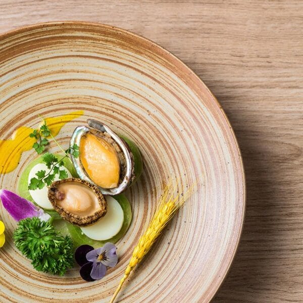 Rustic Porcelain Dinner Plate Set Wholesale - Image 4