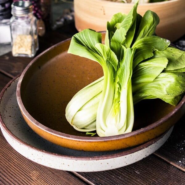Retro Pottery Salad Bowl Wholesale Horeca - Image 3